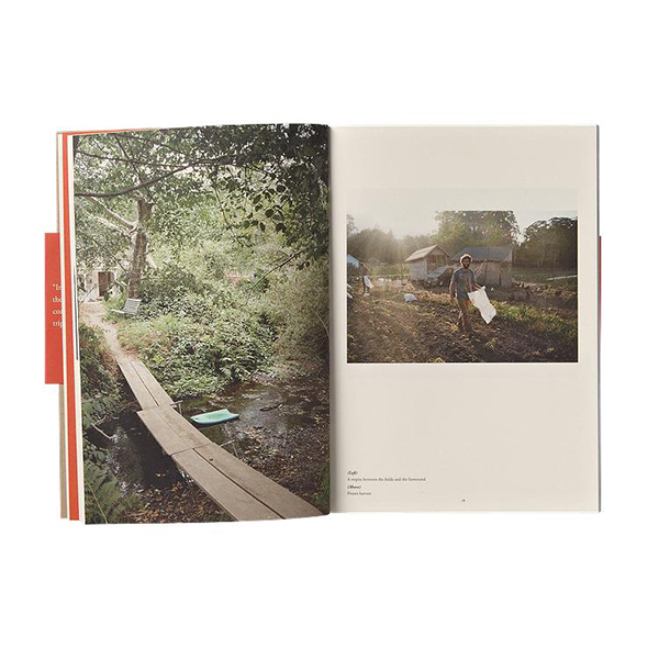 Carousel Image number 2