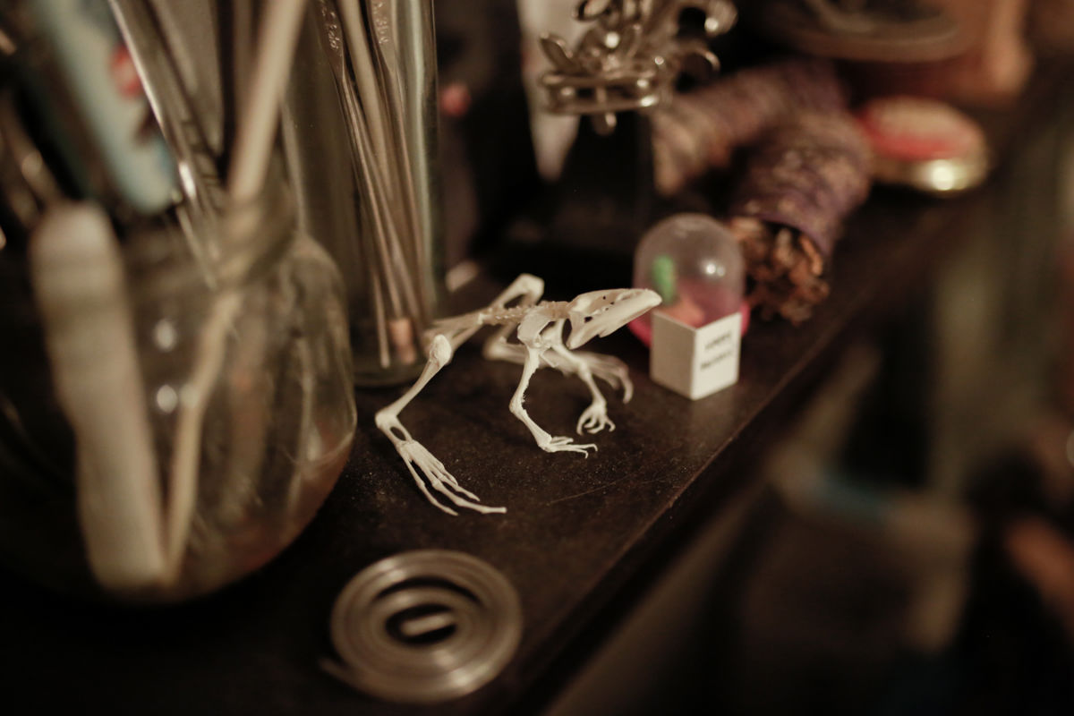 Carousel Image number 5
