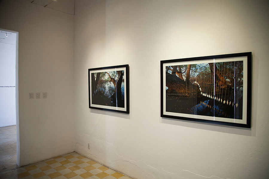 Carousel Image number 2