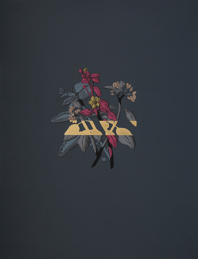 Carousel Image number 8