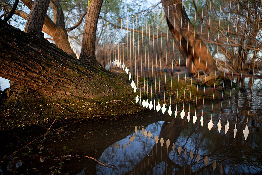 Carousel Image number 12