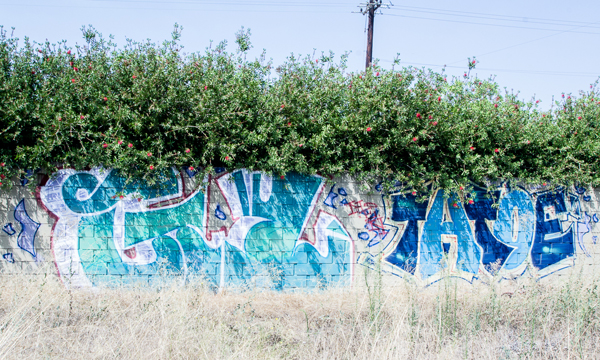 Carousel Image number 3