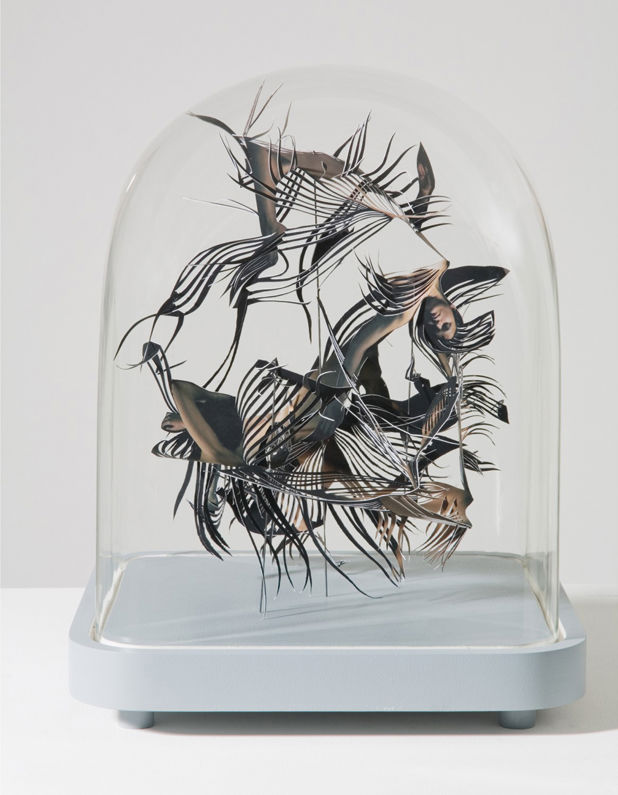 Carousel Image number 7