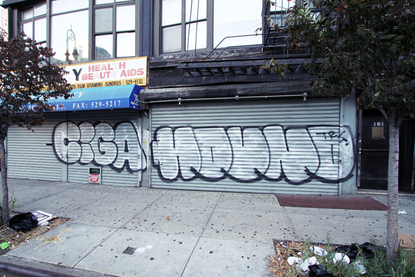 Carousel Image number 8