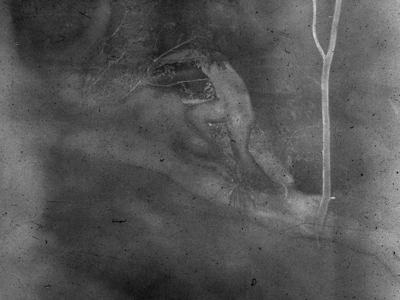 Carousel Image number 3