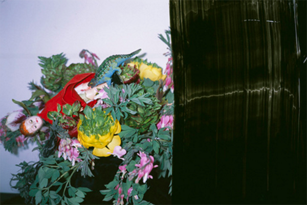 Carousel Image number 5