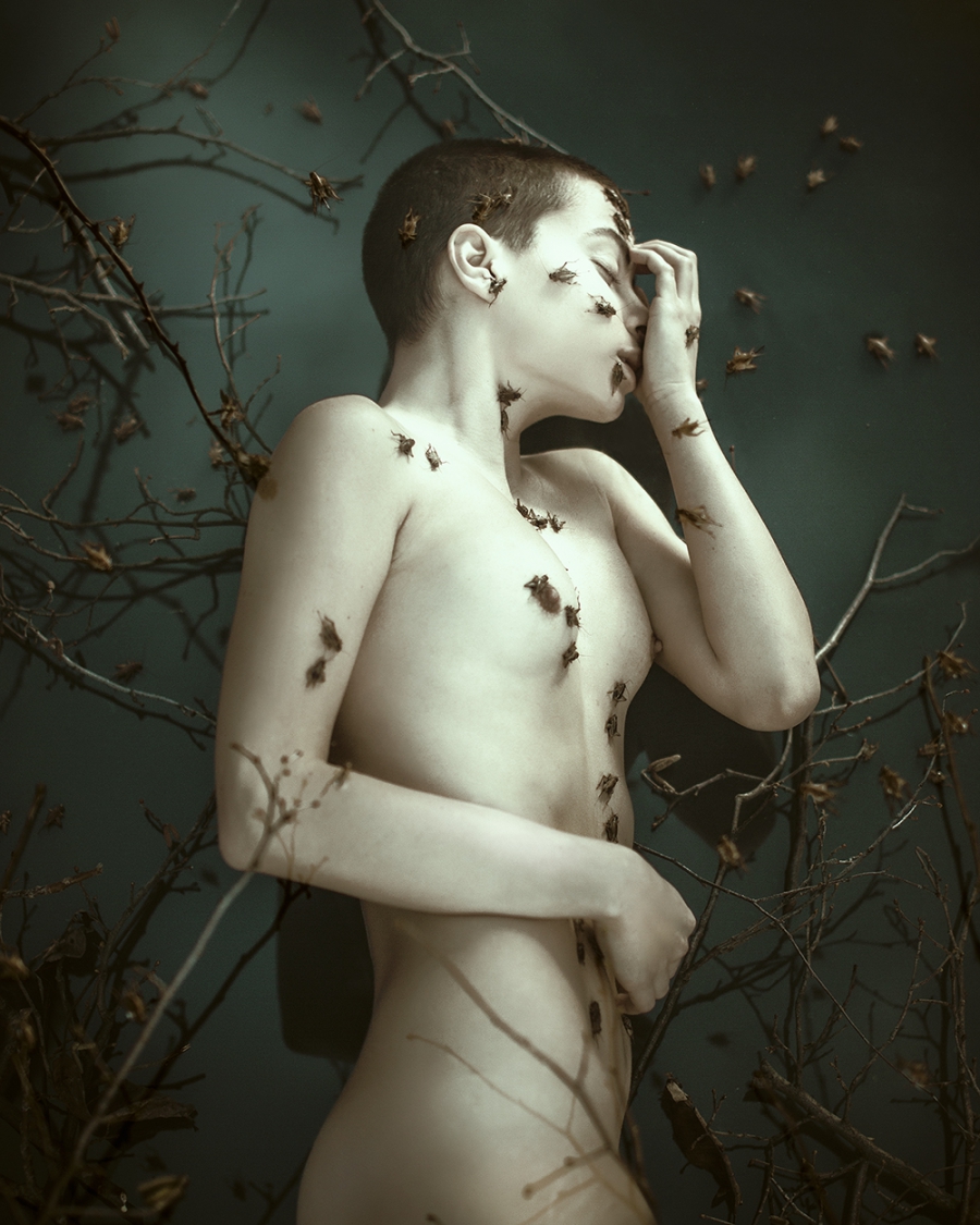 Carousel Image number 4