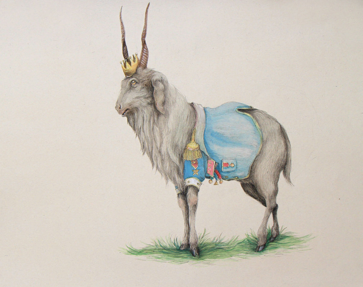 Carousel Image number 1