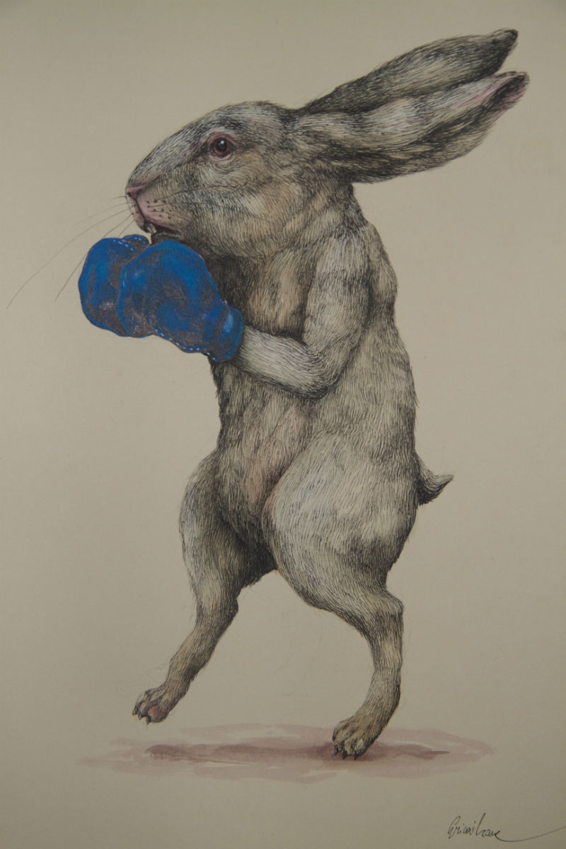 Carousel Image number 5