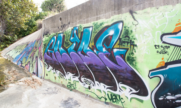 Carousel Image number 4