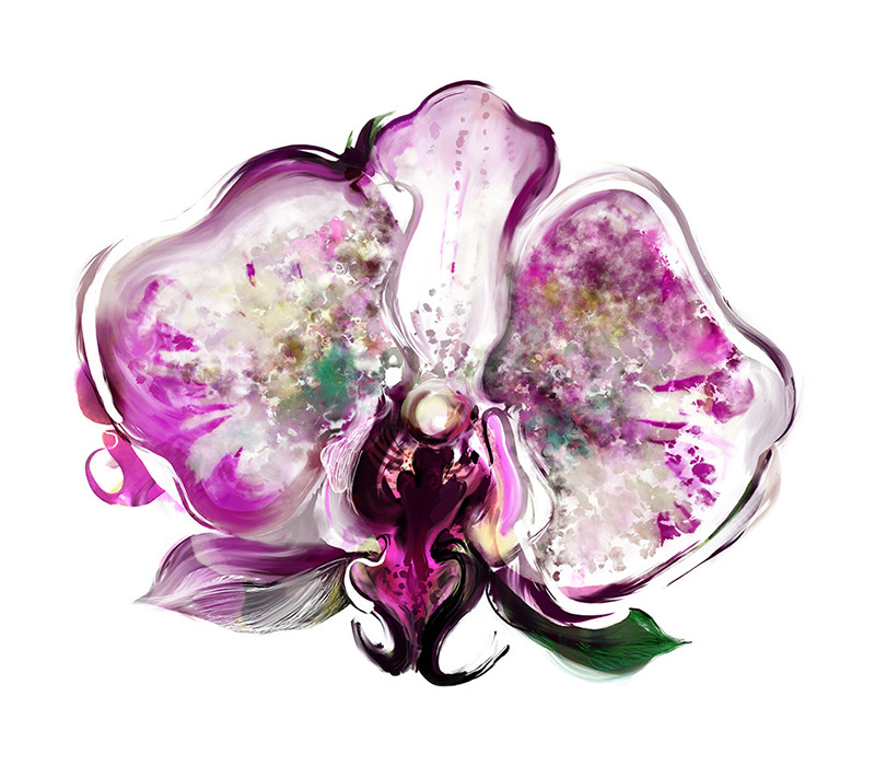 Kahori Maki— iPhone 6s, iPad Pro, Procreate, Apple Pencil