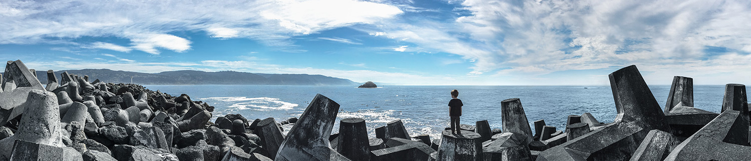 Jake Sargent—iPhone 6s