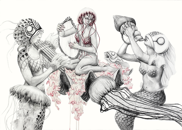 Carousel Image number 13