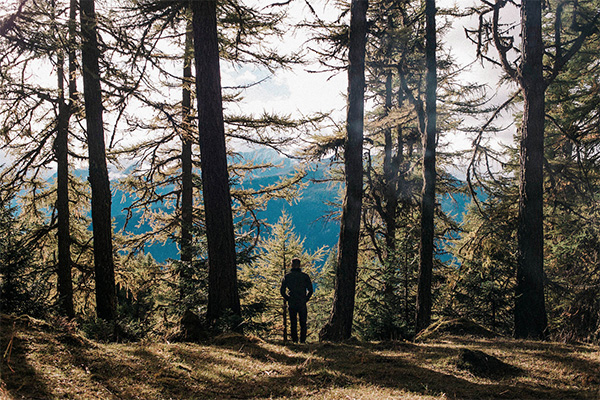 Carousel Image number 9