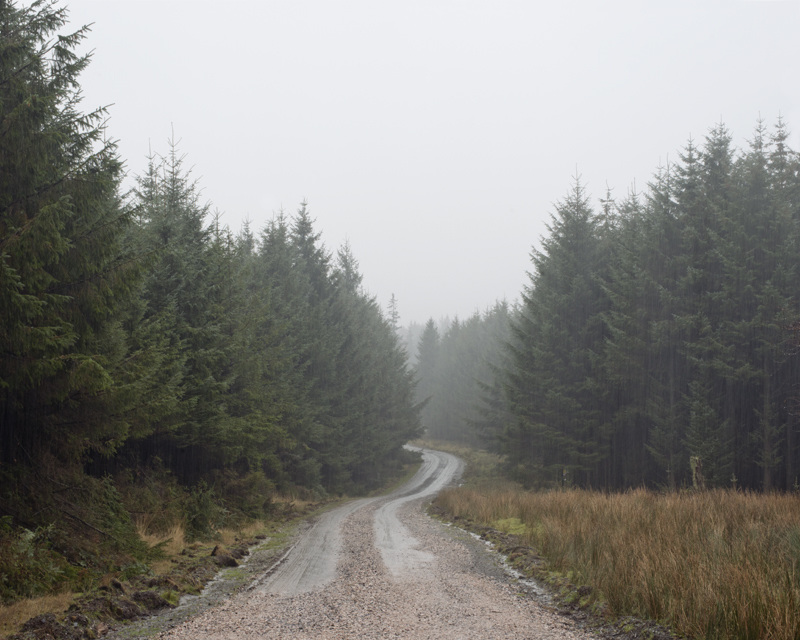 Carousel Image number 8