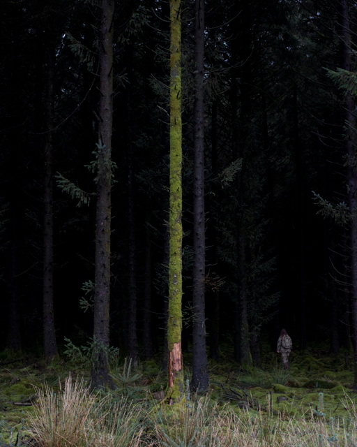 Carousel Image number 12