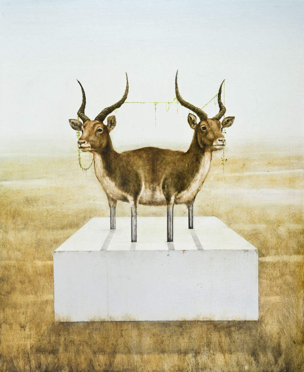 Carousel Image number 5