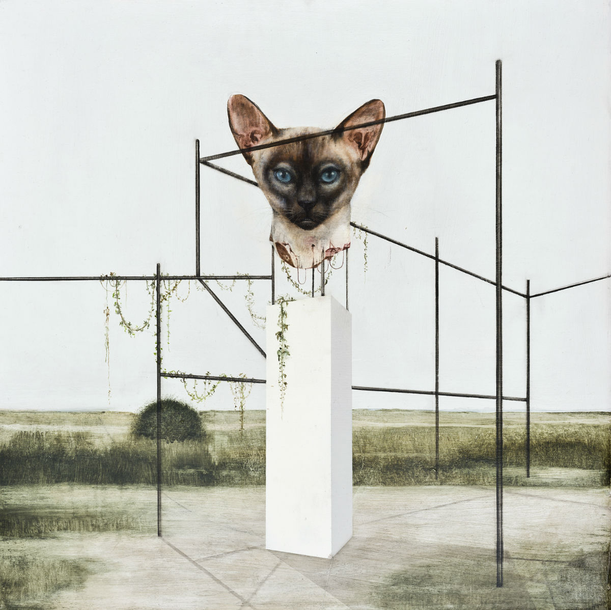 Carousel Image number 6