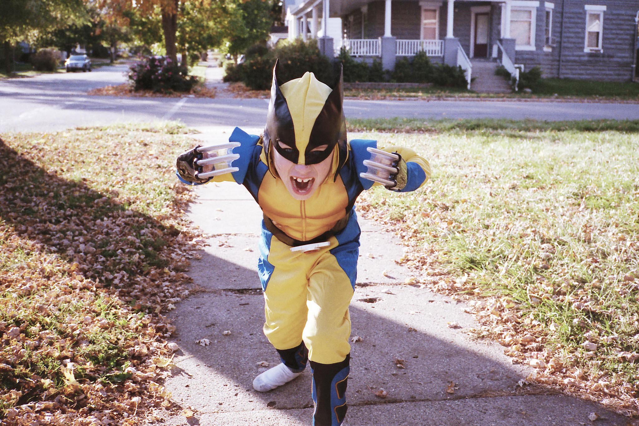 Carousel Image number 7