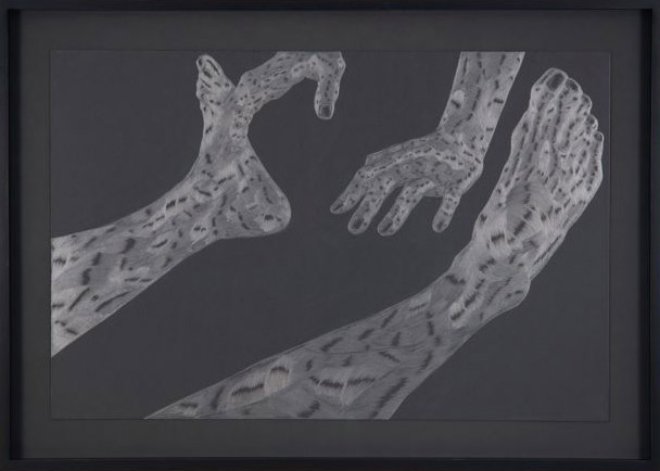 Carousel Image number 9