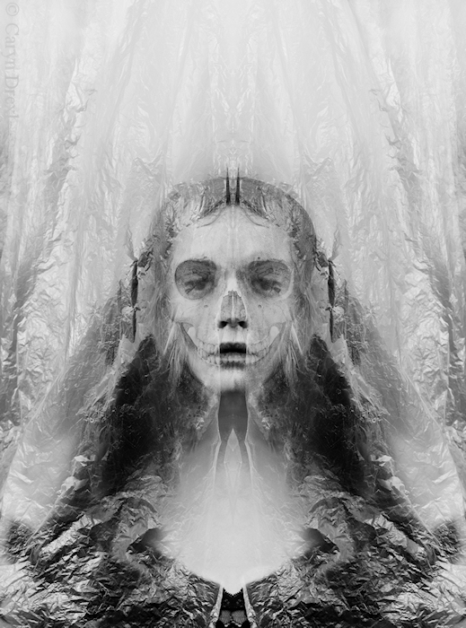 Carousel Image number 6