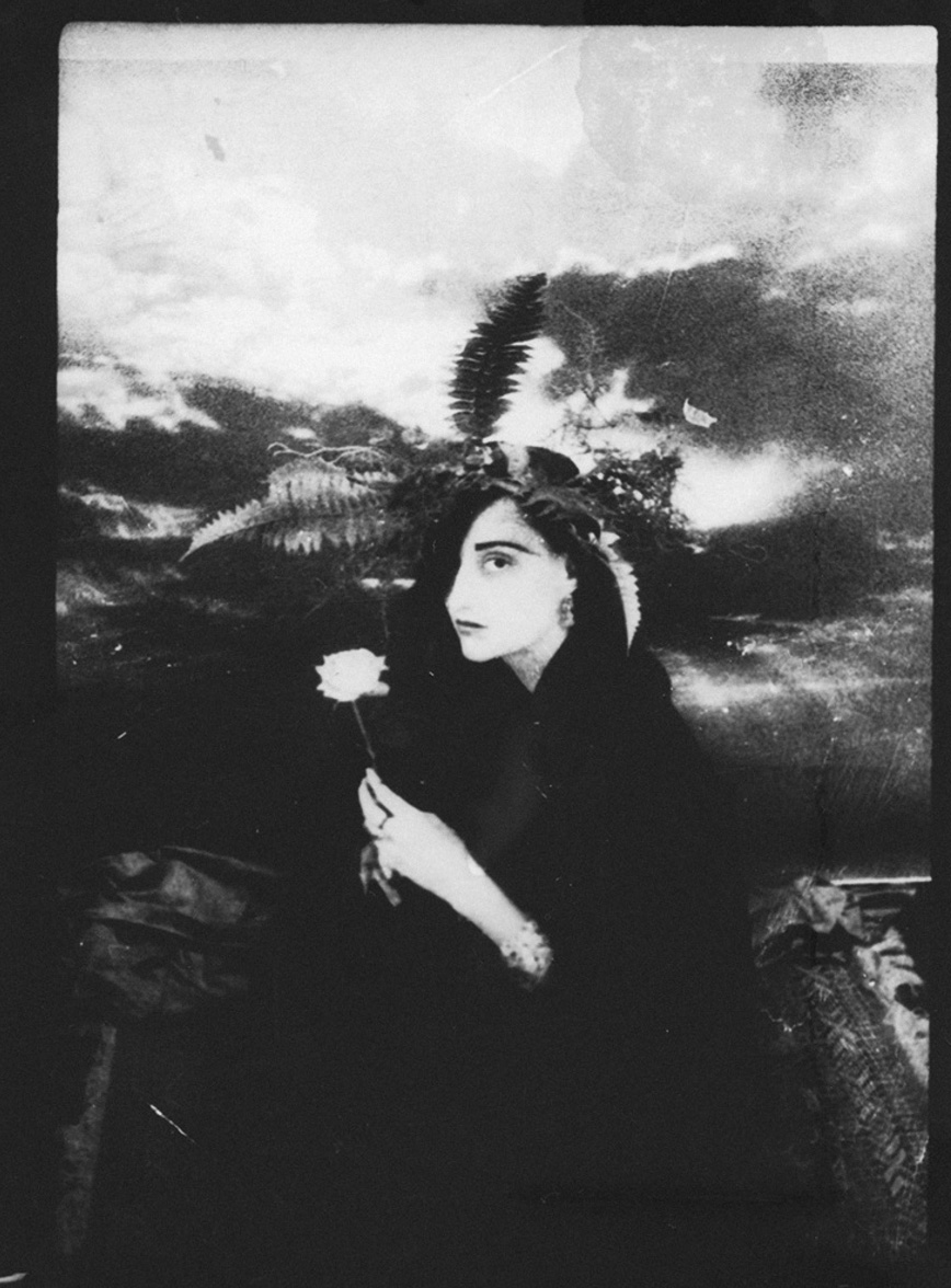 Carousel Image number 5