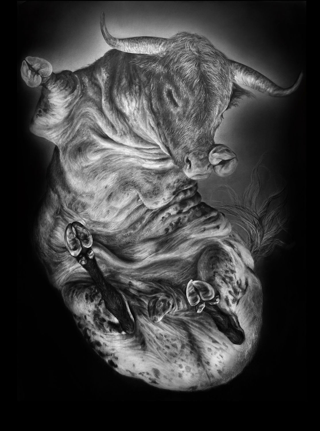 Carousel Image number 21