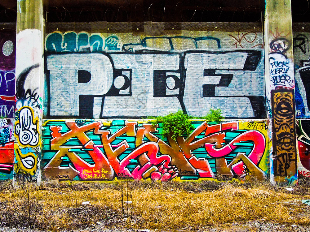 Carousel Image number 7