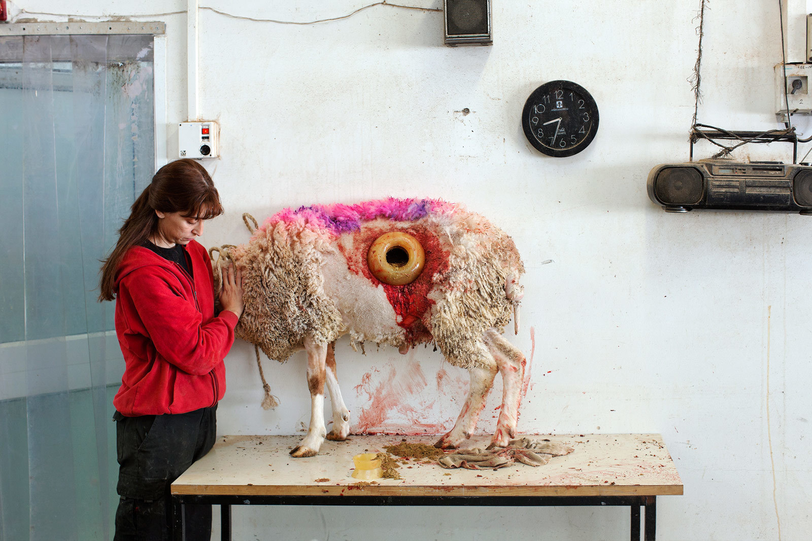 Carousel Image number 5