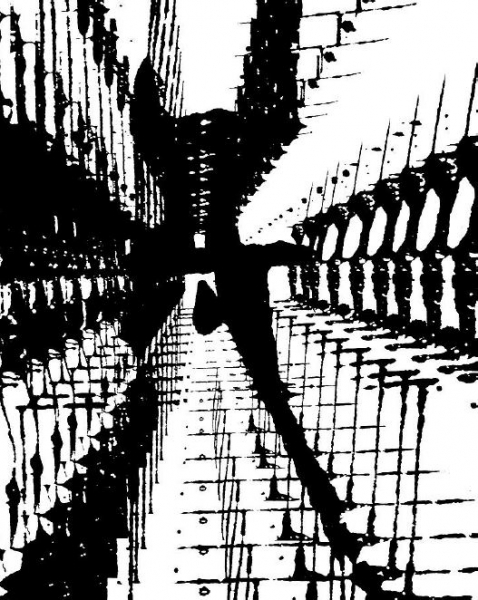 Carousel Image number 8