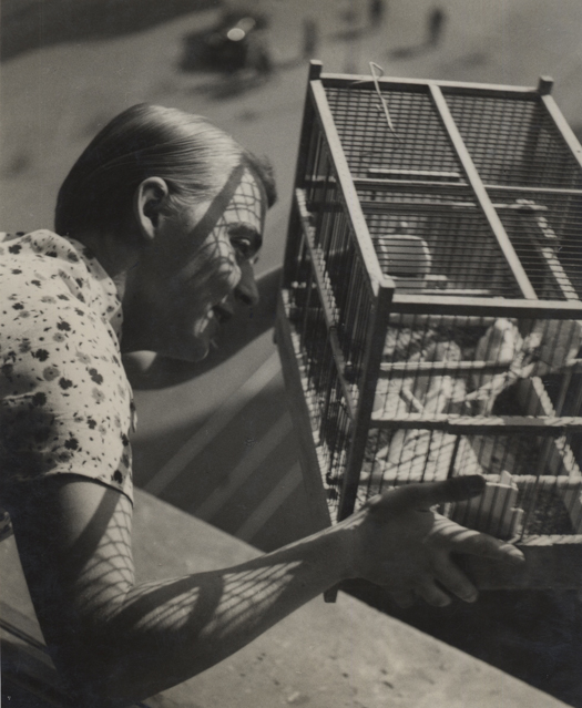 Carousel Image number 3