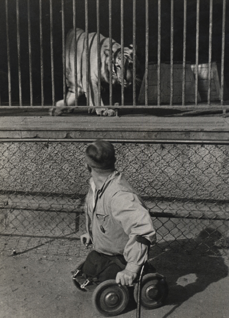 Carousel Image number 9