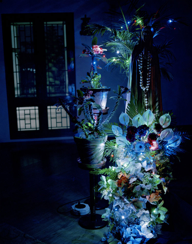 Carousel Image number 11