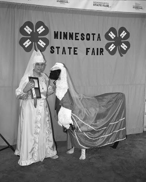 Carousel Image number 3