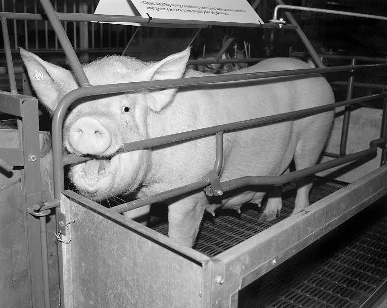 Carousel Image number 4