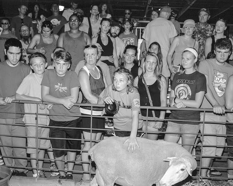 Carousel Image number 6