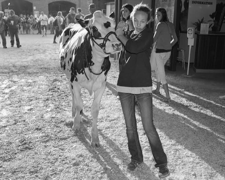 Carousel Image number 8