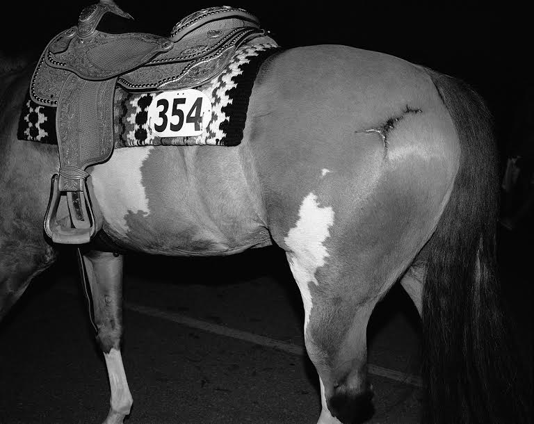 Carousel Image number 9