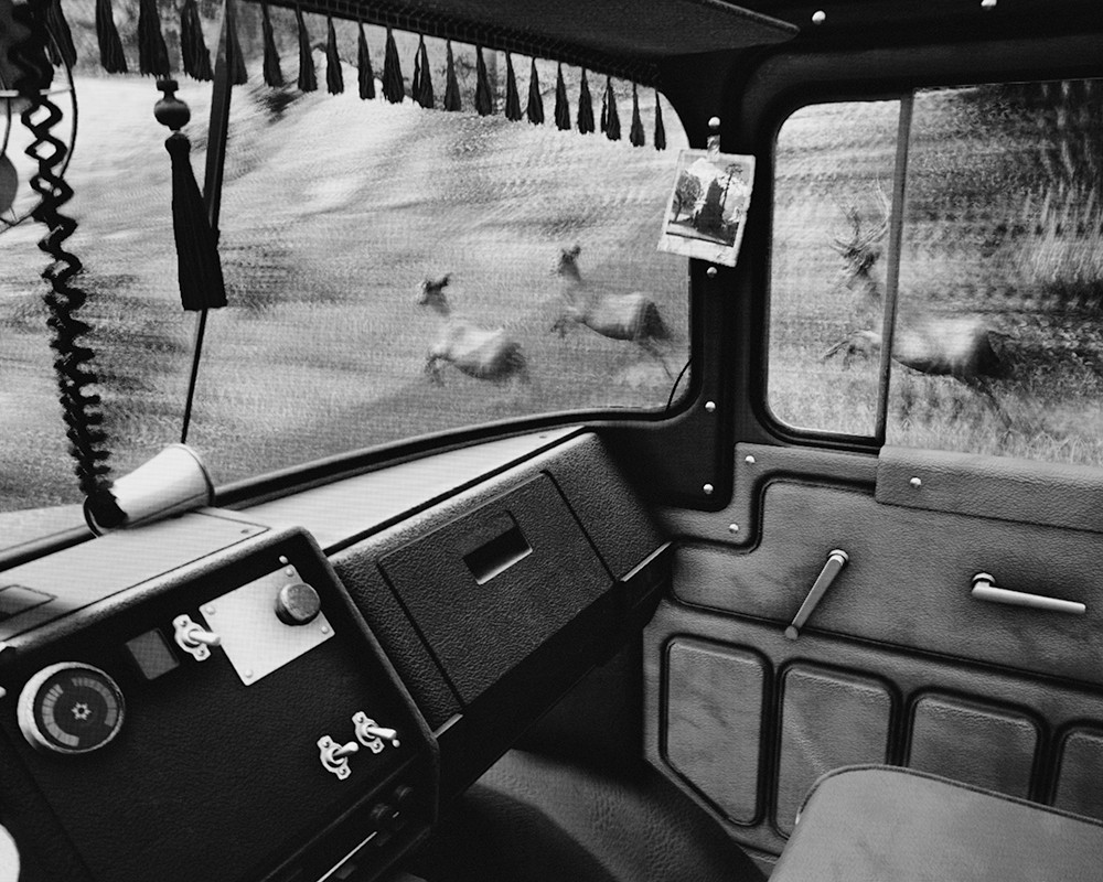 Carousel Image number 7