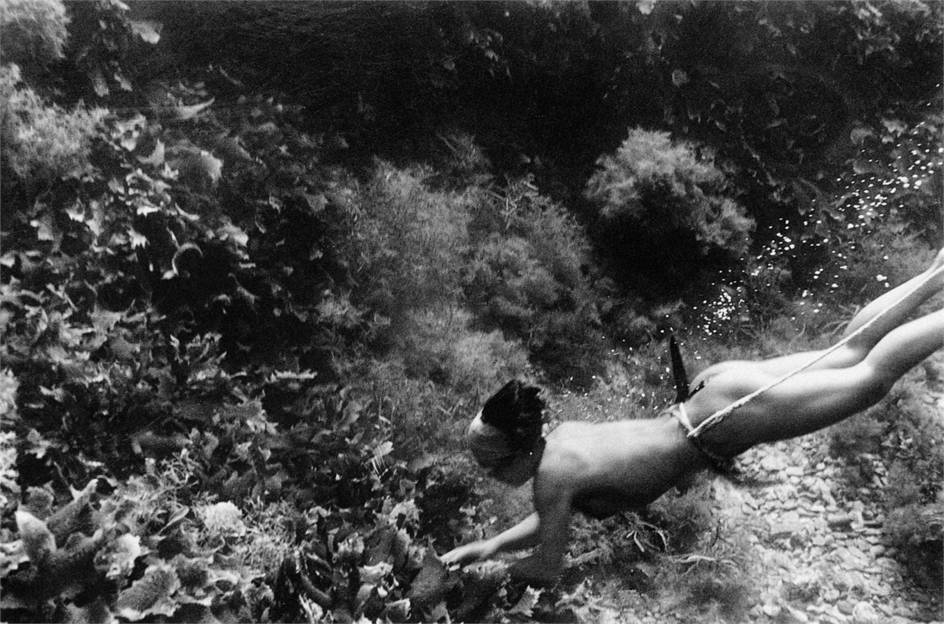 Carousel Image number 1