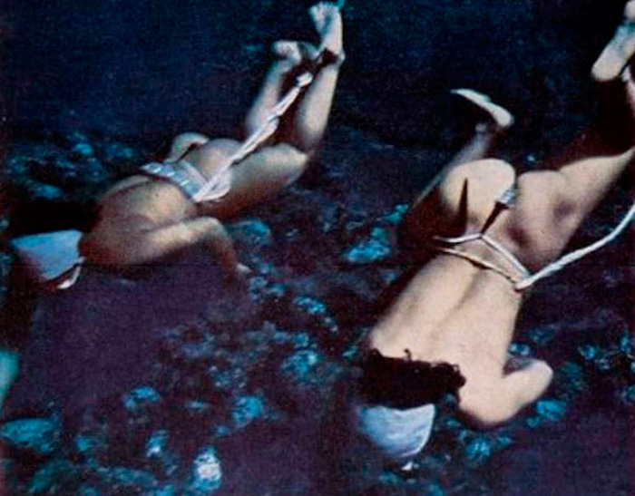 Carousel Image number 12