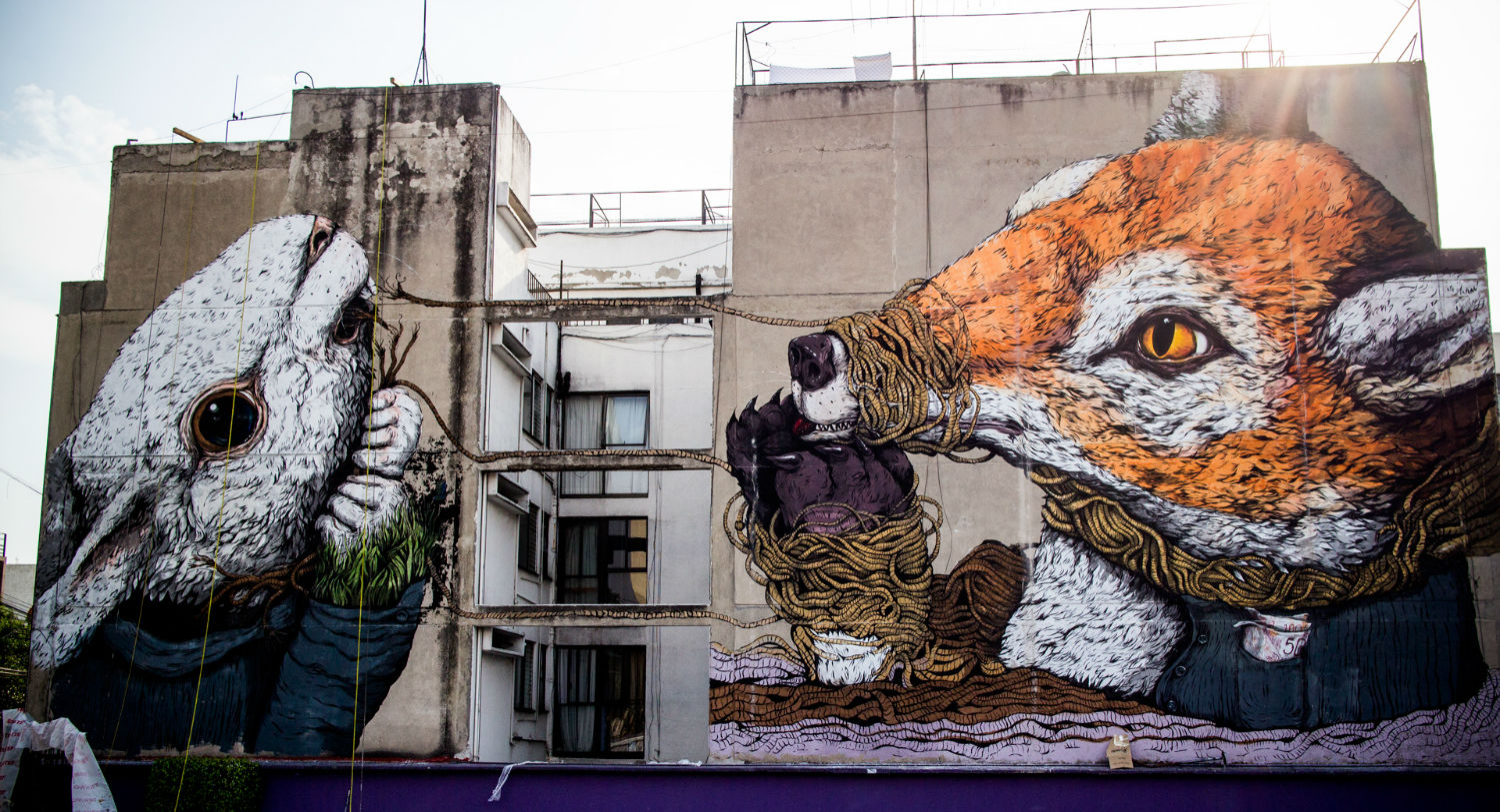 "The Rabbit & the Fox" / Photo by Alice Bettolo