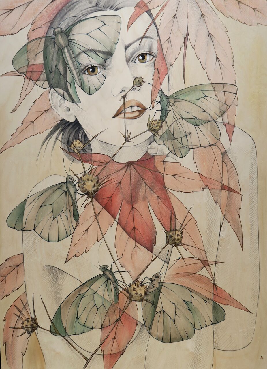 Carousel Image number 5