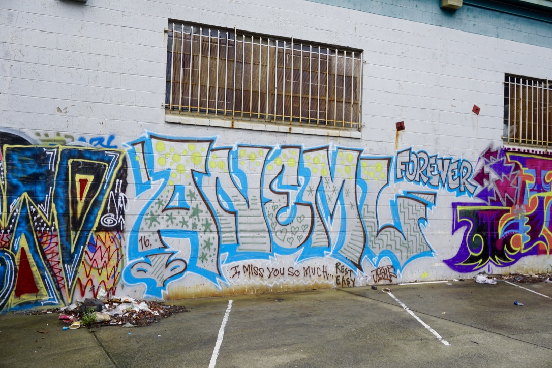 Carousel Image number 6