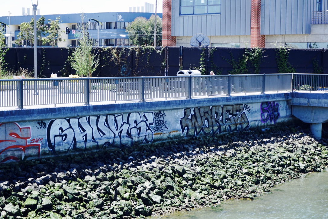 Carousel Image number 12