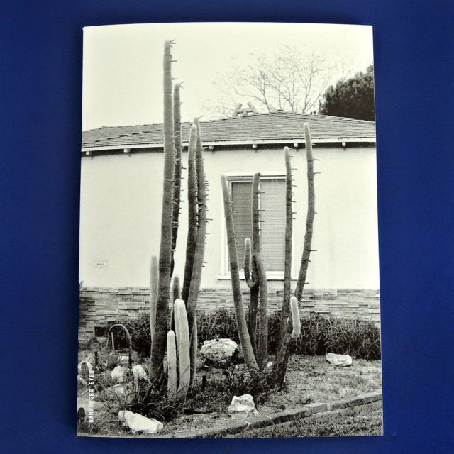 Carousel Image number 6