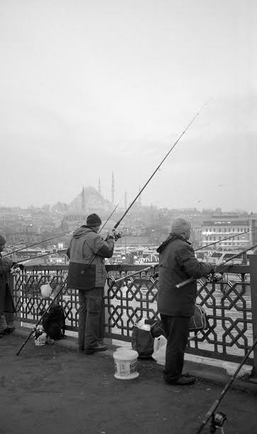 Carousel Image number 6