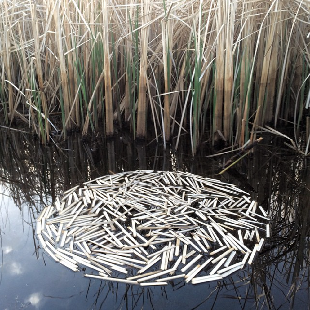 Carousel Image number 2