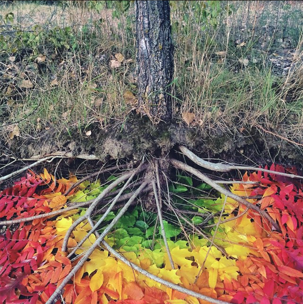 Carousel Image number 4