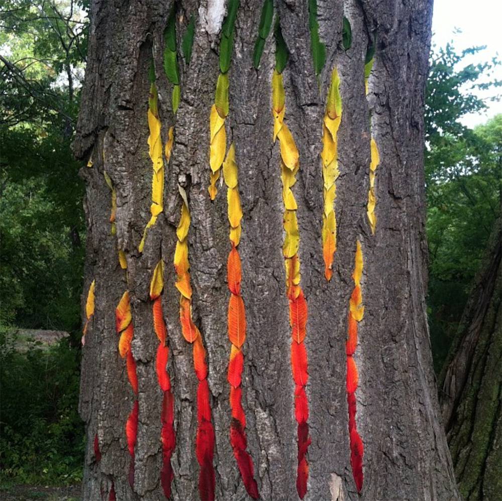 Carousel Image number 5